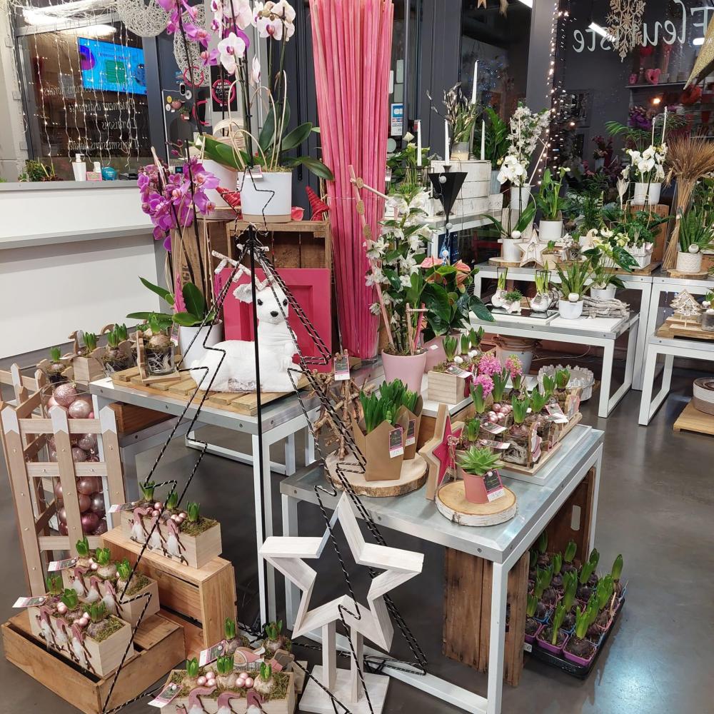 Magasin fleuriste