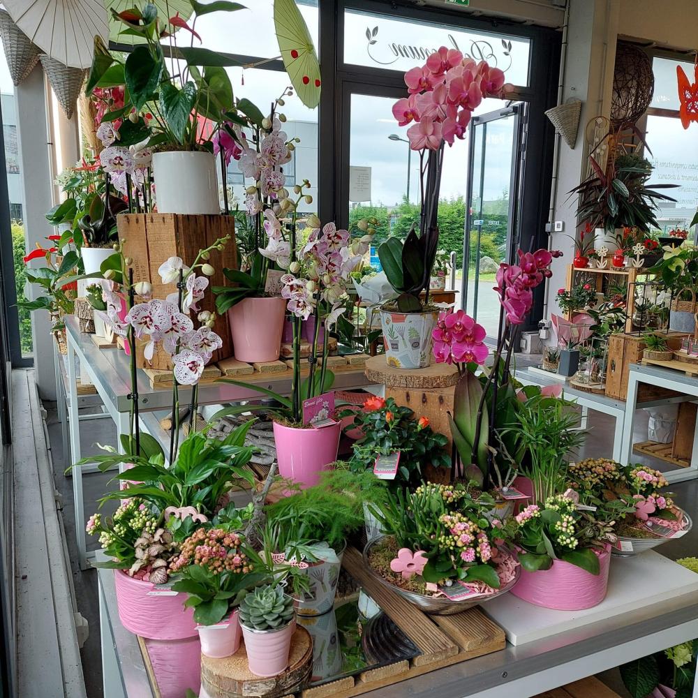 fleuriste sur-mesure à Halennes-lez-Haubourdin