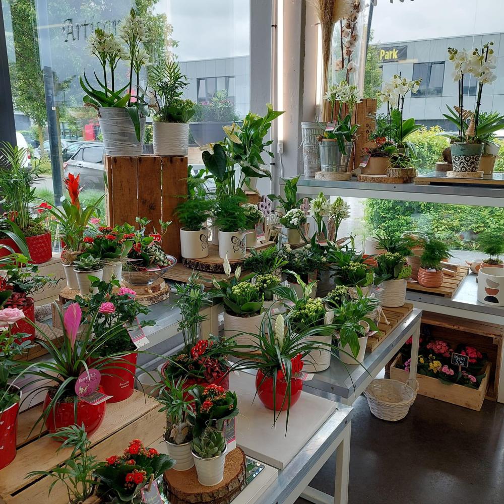 Magasin fleuriste